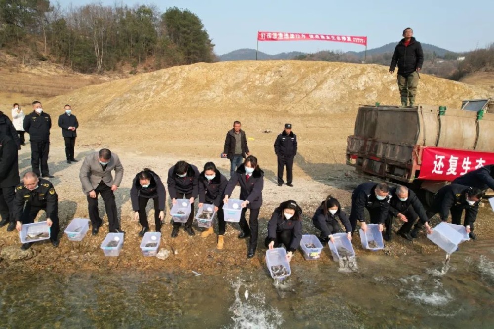 男子獵殺野兔 自愿認(rèn)購16.18噸碳匯